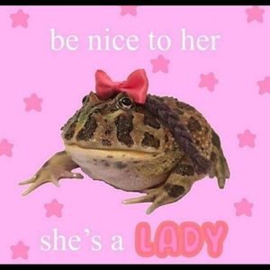 Meet your Posher, Emilee